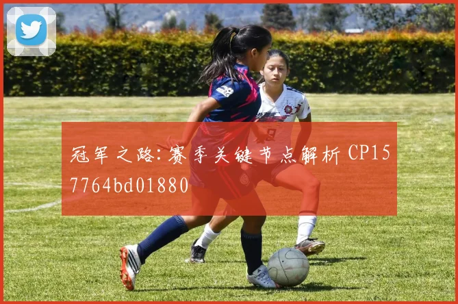 冠军之路:赛季关键节点解析 CP157764bd01880